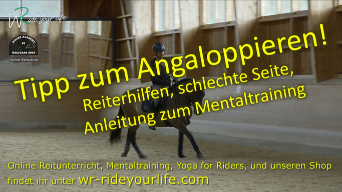 F208 So kannst du als Reiter dein Pferd im richtigen Galopp angaloppieren. Video mit Mentaltraining für Reiter!